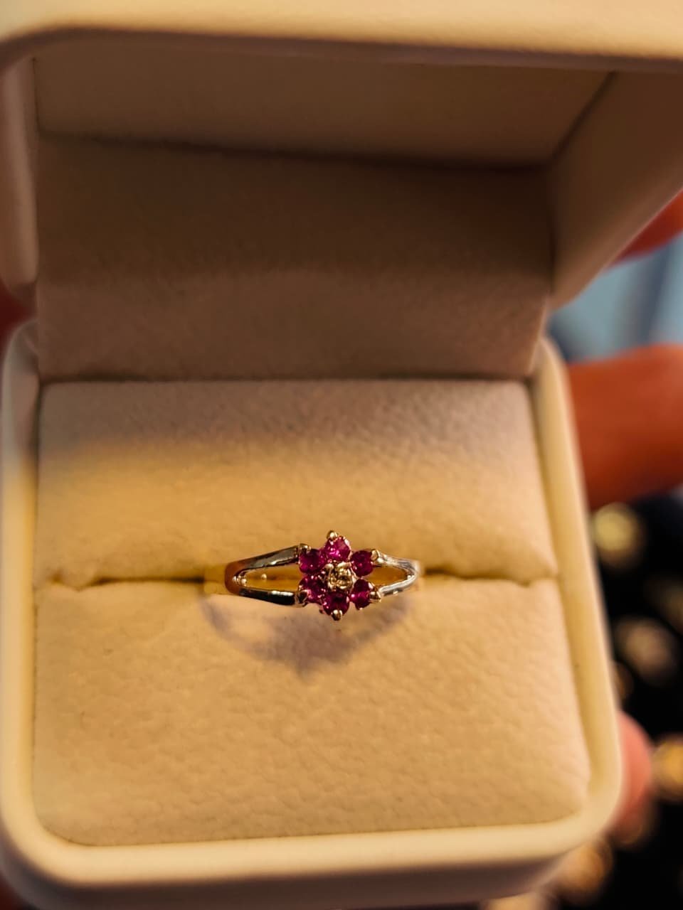 Anillo 6